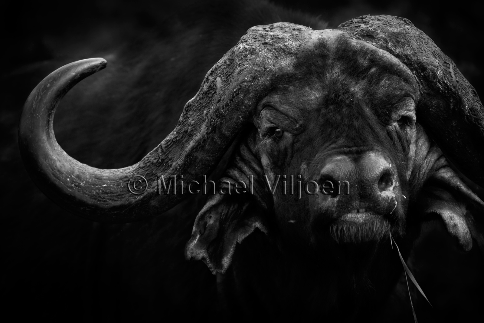 Black and White Photography