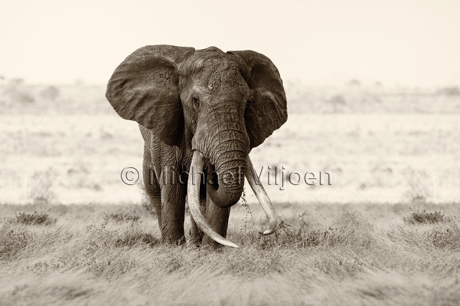 Black and White Photography