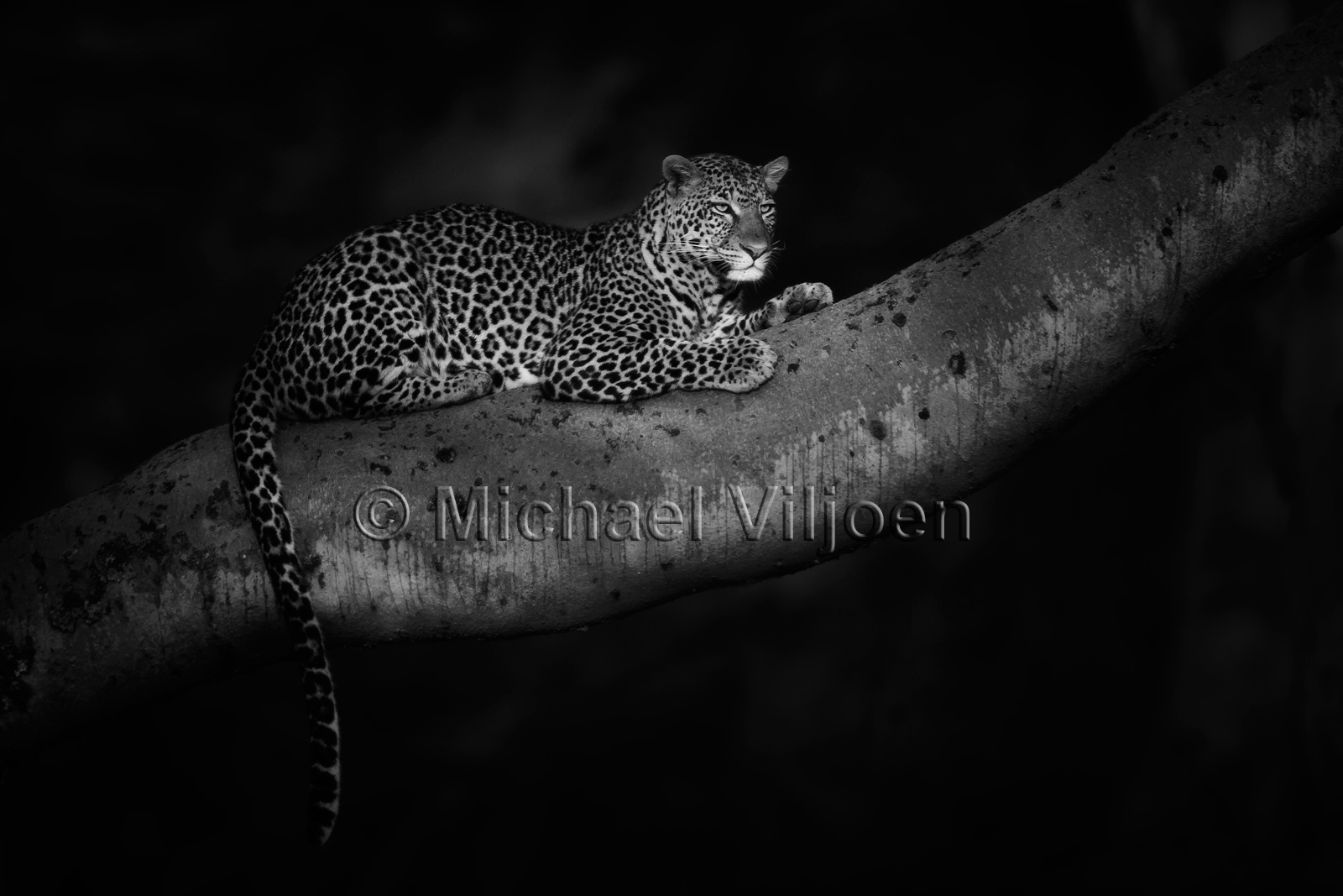 Black and White Photography