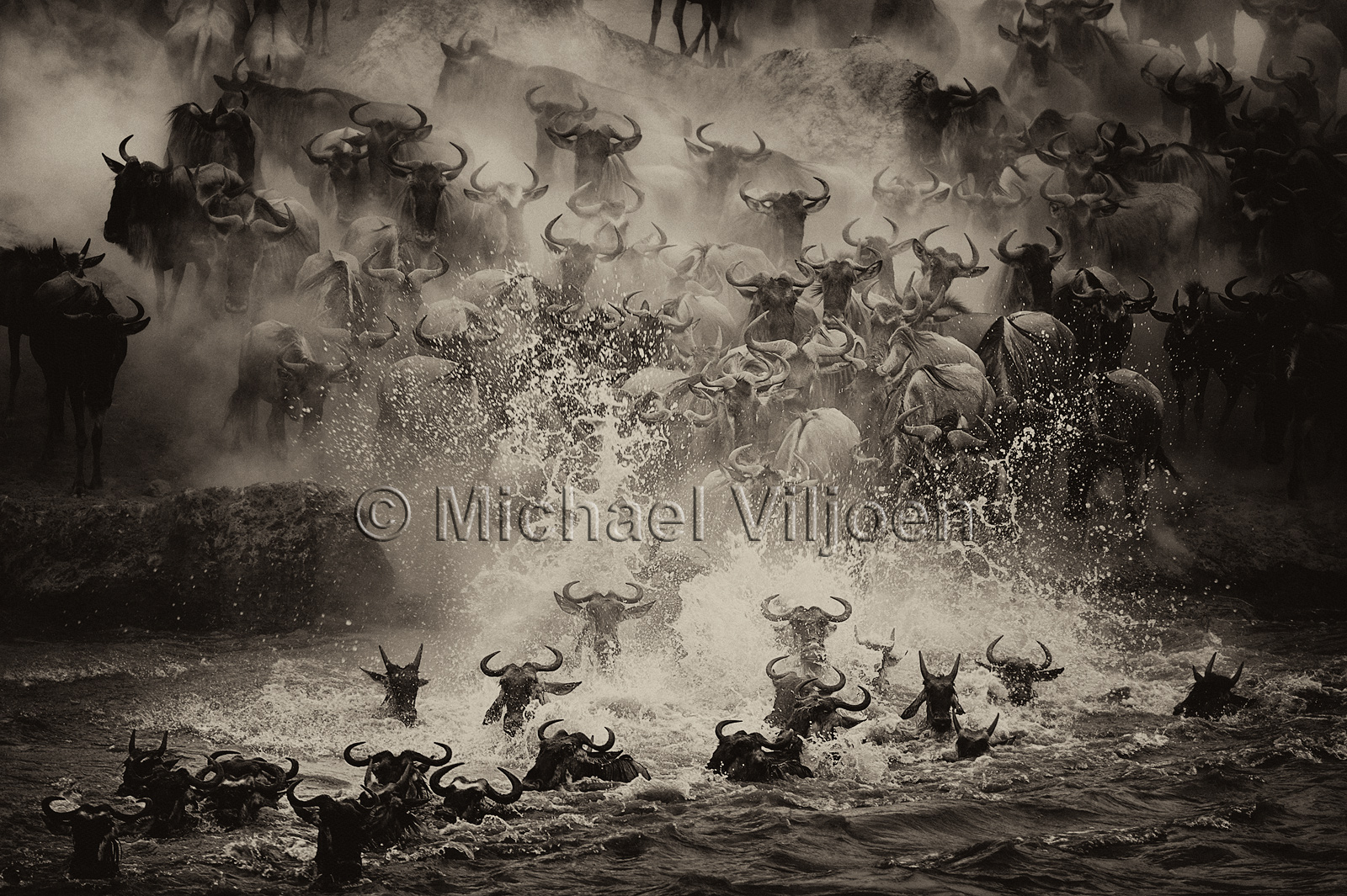 Black and White Photography