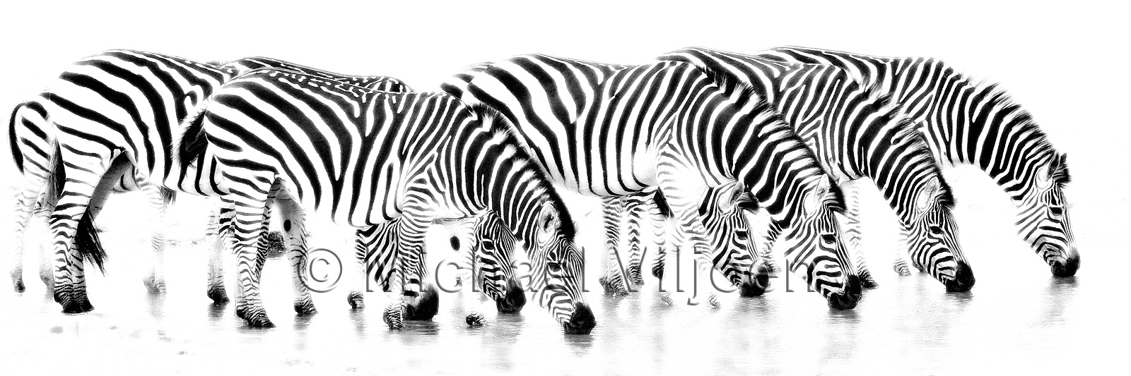 Black and White Photography