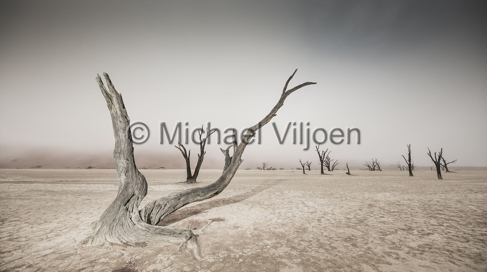 Landscapes Photography