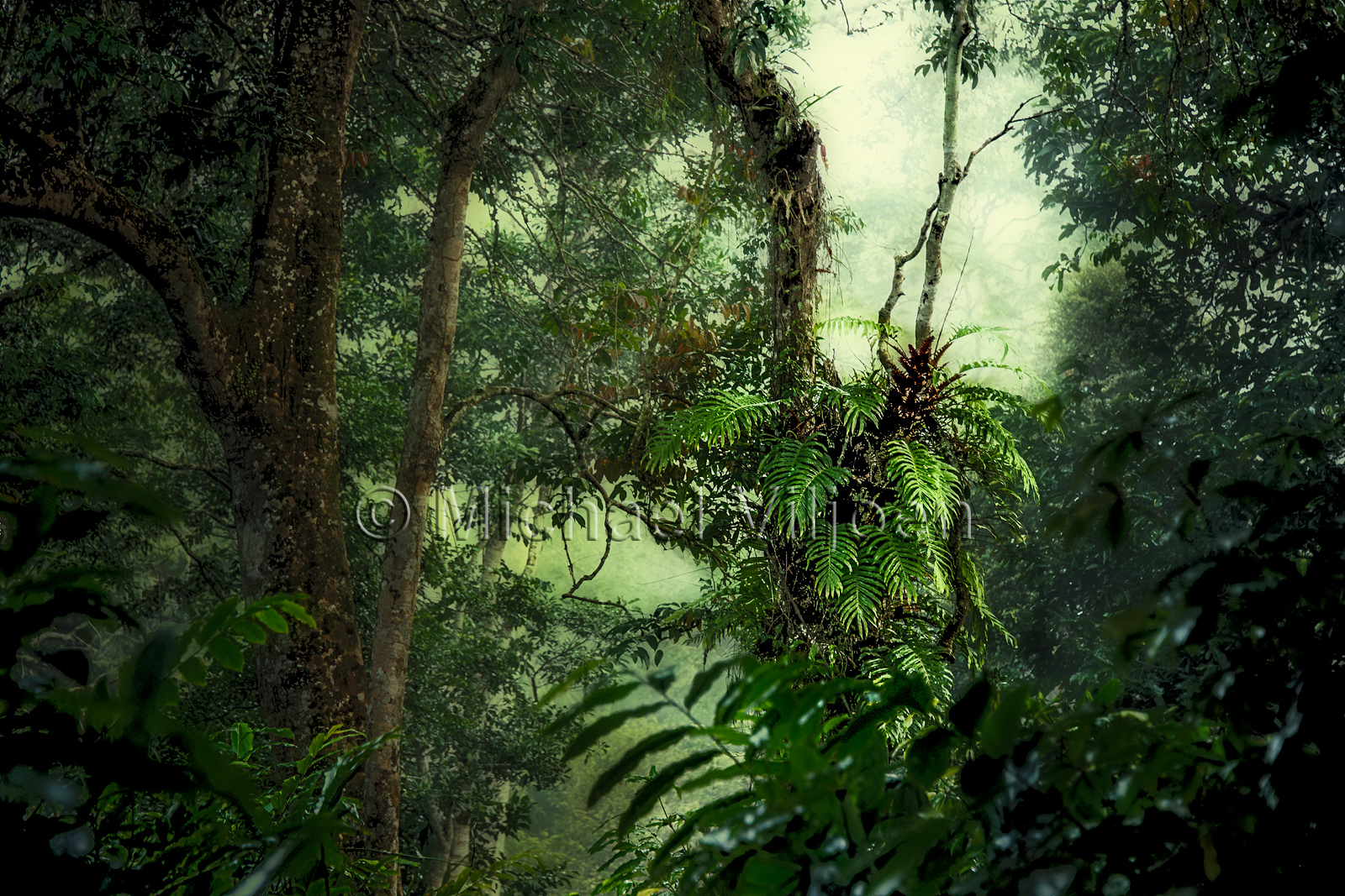 Landscapes Photography