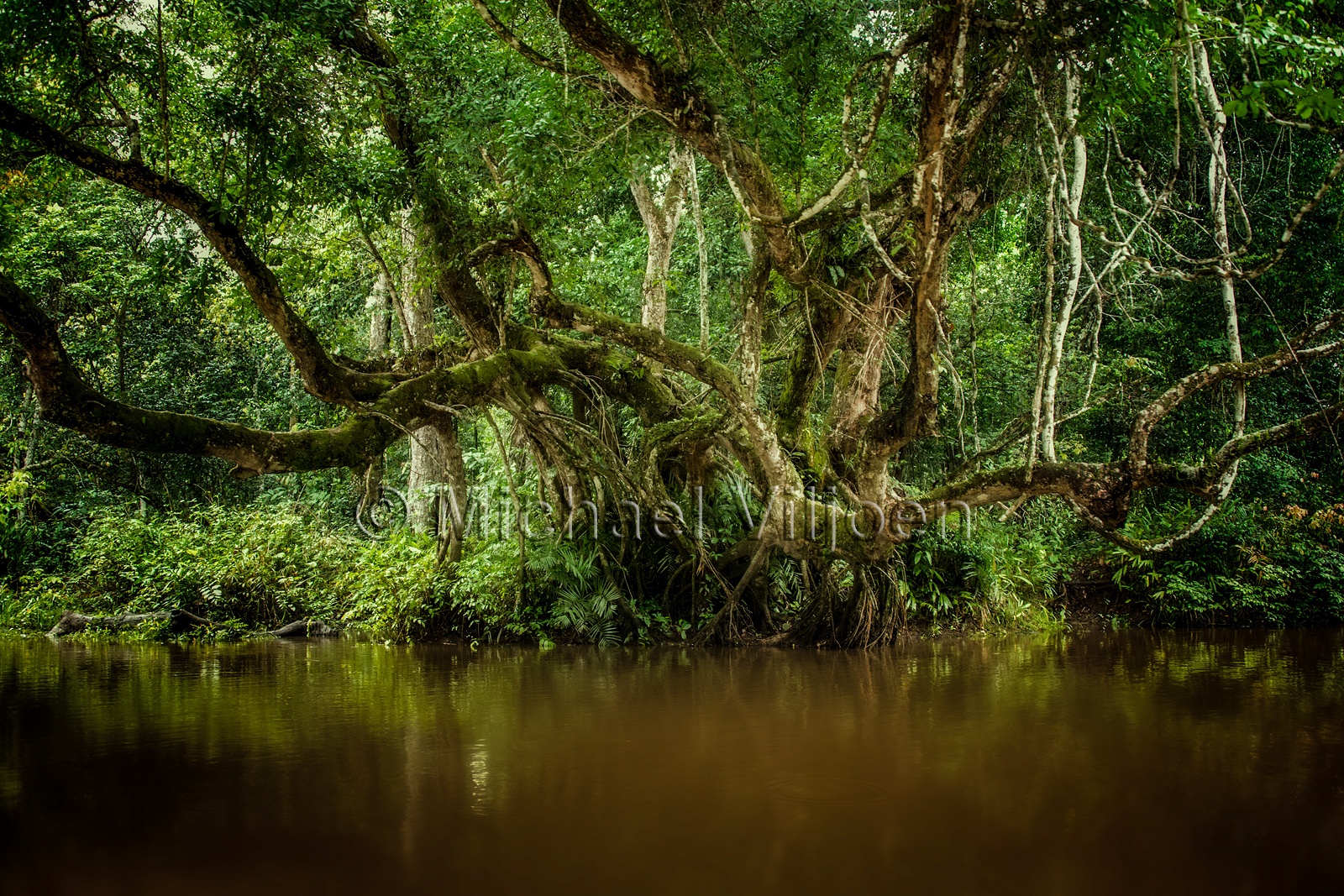 Landscapes Photography