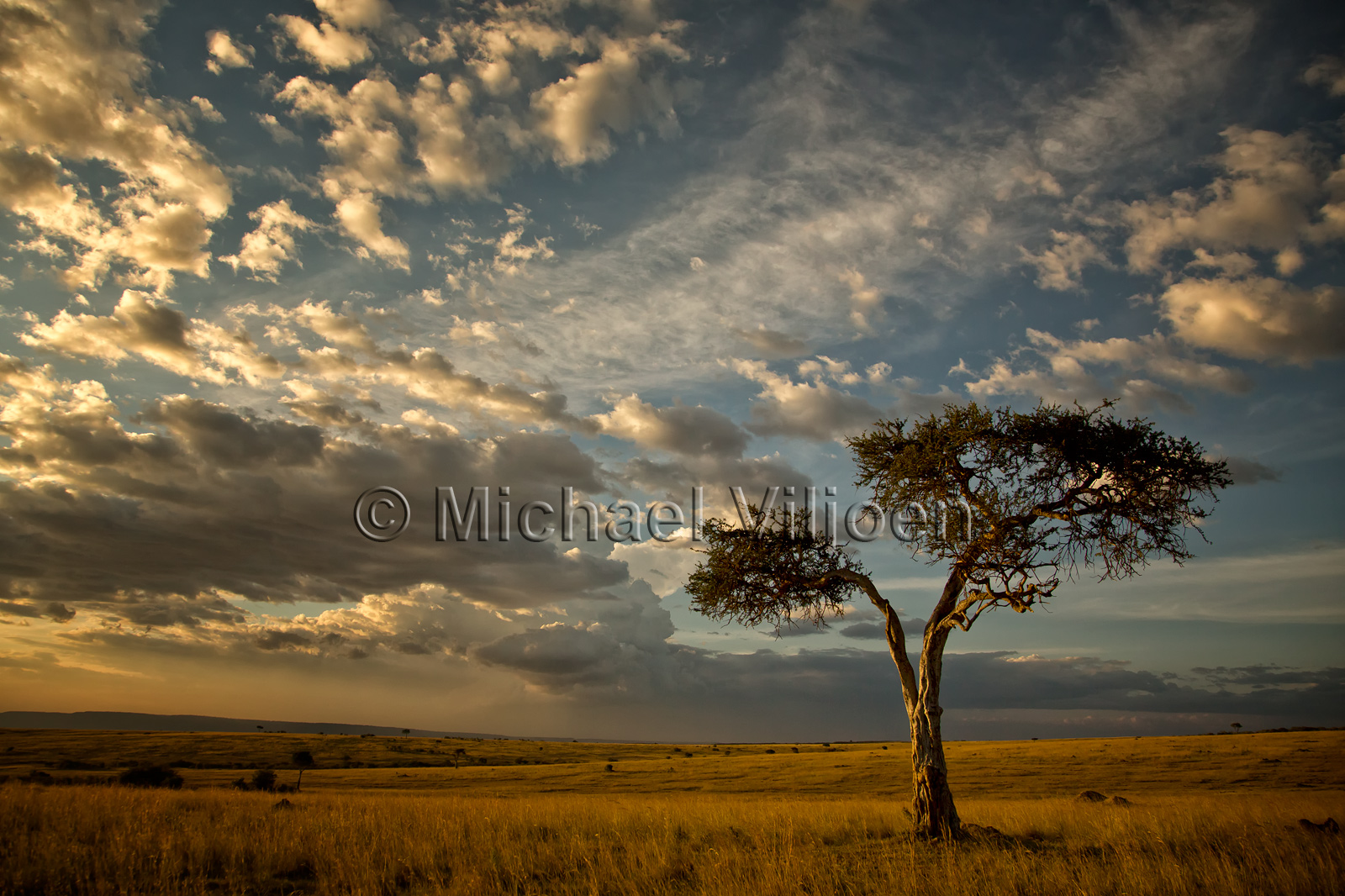 Landscapes Photography